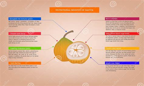 Infografía sobre los beneficios nutricionales del calabacín