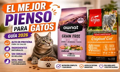 Envases de pienso para gatos de salmón de diferentes marcas