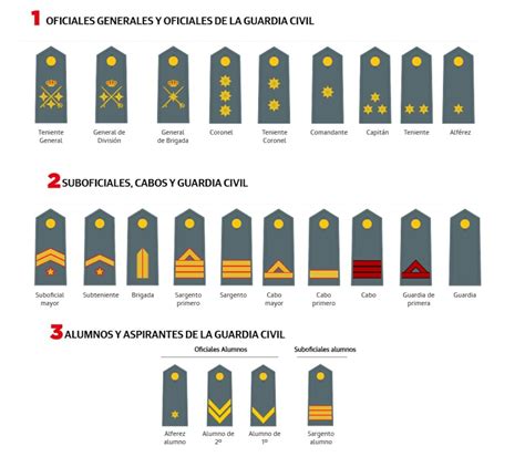 Jerarquía de la Guardia de la Noche