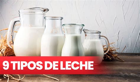 Tabla comparativa de diferentes tipos de leche y su impacto en la glucosa