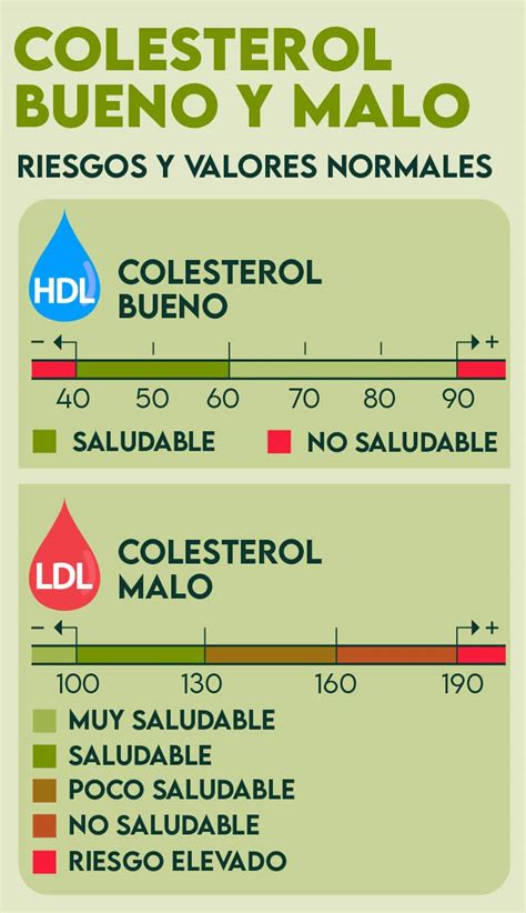 Niveles de colesterol bueno y malo