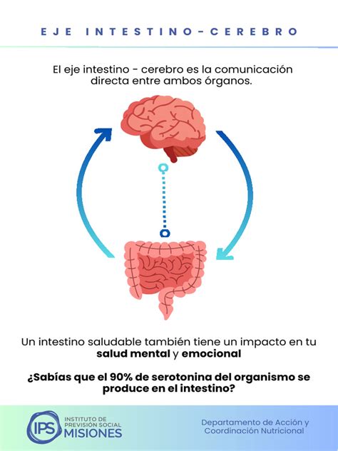 Infografía sobre la conexión intestino-cerebro y alimentos recomendados