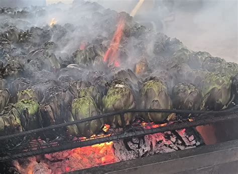 Celebración de la Torrà popular de alcachofas en Benicarló