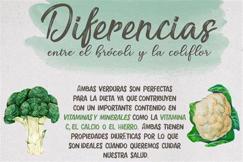 Comparación nutricional entre brócoli y coliflor