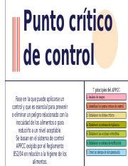 Diferencia entre Punto de Control y Punto de Control Crítico