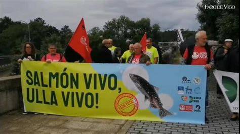 Calendario de pesca del salmón en Galicia
