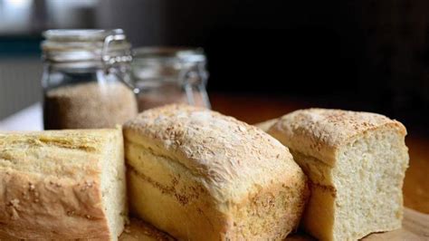 Esquema de las fases de la fermentación del pan