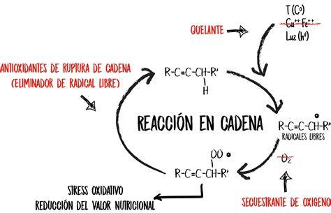Esquema del proceso de oxidación en alimentos