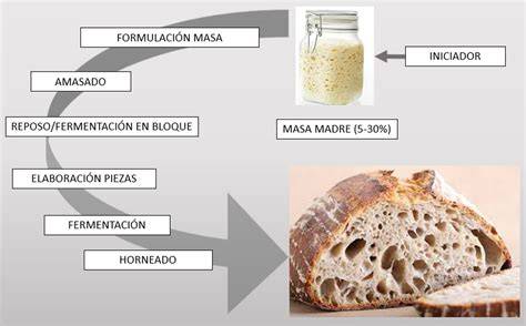 Proceso de elaboración de masa madre