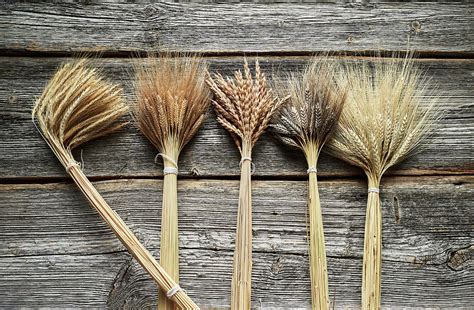 Tipos de farro (einkorn, emmer y espelta)