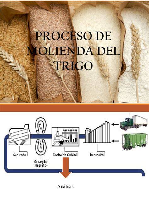 Proceso de molienda de trigo