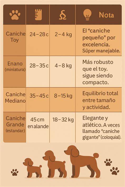 Tabla comparativa de tamaños de empaques de levadura y su idealidad de uso