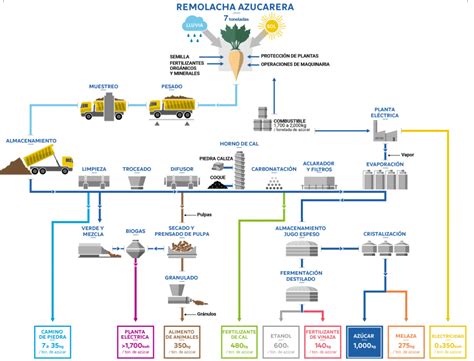 Esquema del proceso de salazón de huevas
