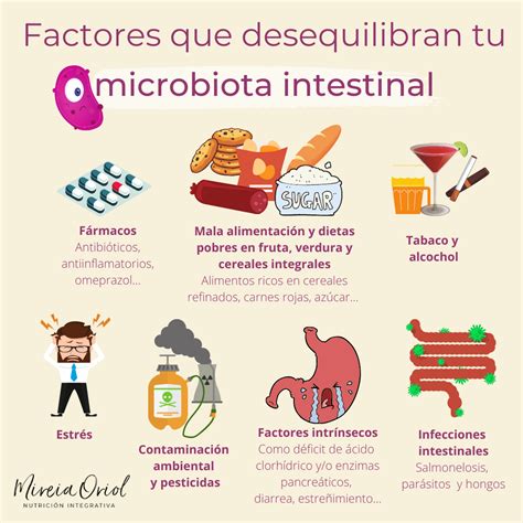 Infografía sobre los factores que influyen en la microbiota intestinal