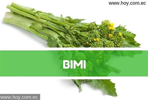 Esquema del origen del Bimi