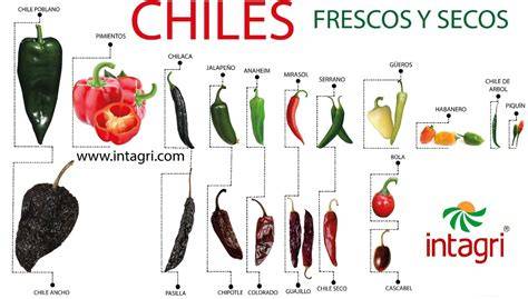 Infografía mostrando los diferentes tipos de chiles usados en el sambal