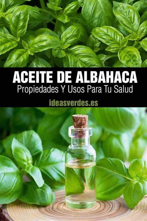 Ingredientes para aceite de albahaca