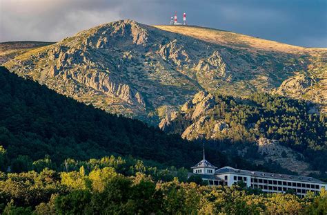 Paisaje de la Sierra de Guadarrama con terneras pastando