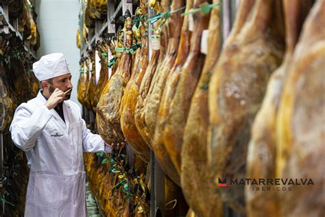 Diagrama del proceso de curación del jamón ibérico