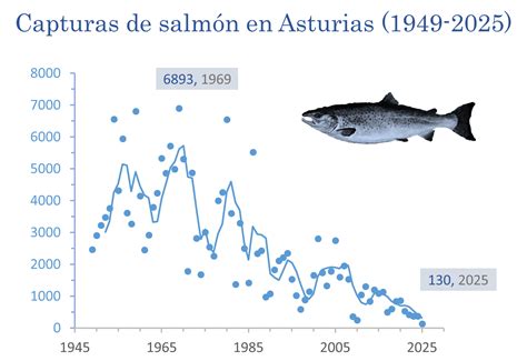 Tabla comparativa de capturas de salmón en el río Ulla por año