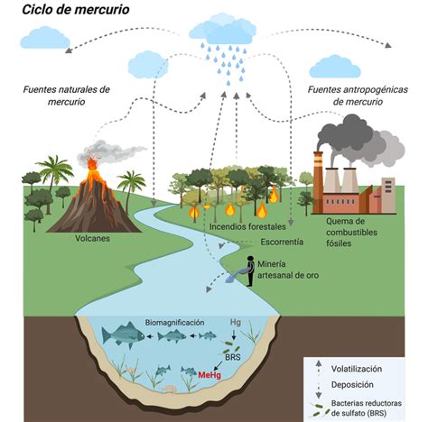 Fuentes de mercurio en el medio ambiente
