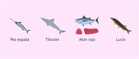 Pescados con alto contenido de mercurio