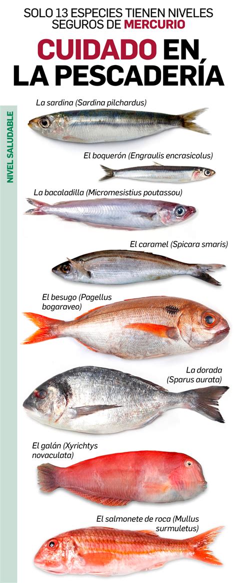 Niveles de mercurio en diferentes tipos de pescado