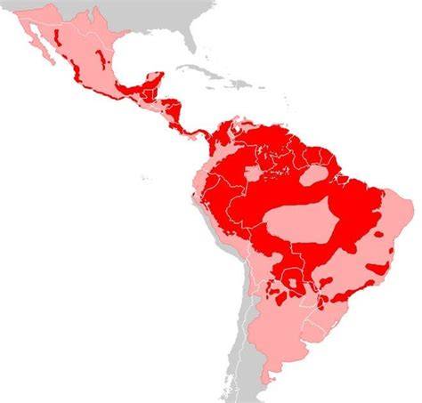 Mapa mostrando la distribución geográfica de S. eubayanus y el origen de la levadura lager