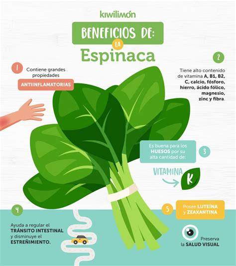 Infografía: Beneficios de las espinacas y el salmón