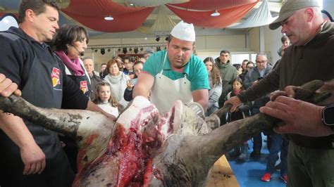 Matanza del cerdo en un entorno rural