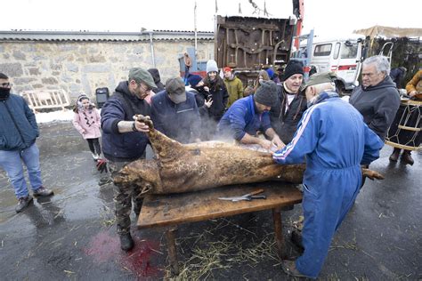 Raspado del cerdo en Riofrío (Ávila)
