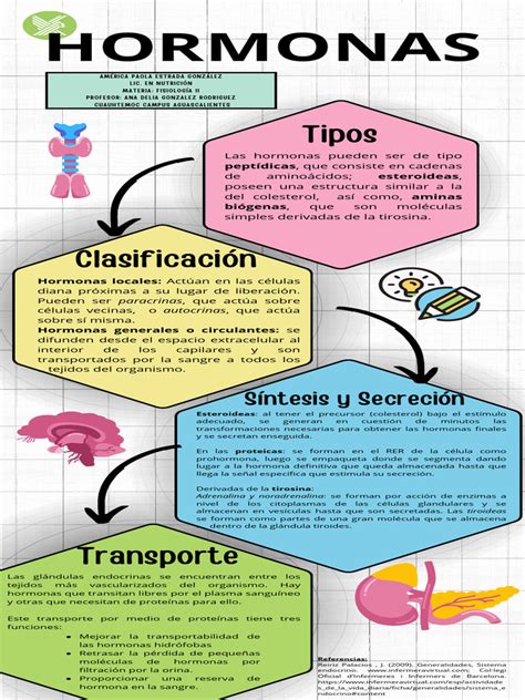 Infografía de las hormonas que regulan el apetito y la saciedad