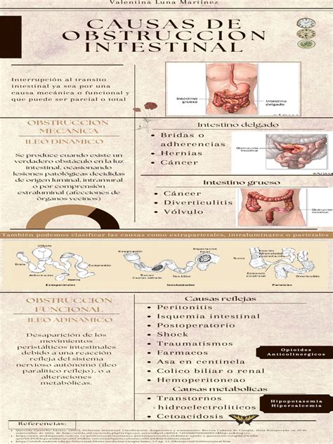 Causas de obstrucción intestinal en terneros