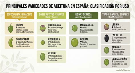 Tabla comparativa de variedades de aceituna de Baena y sus características de sabor