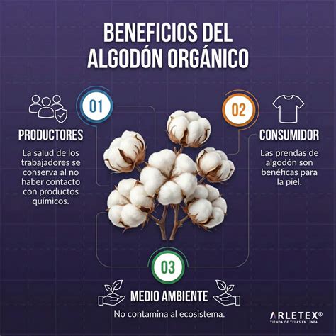 Infografía: Beneficios del algodón orgánico para bebés