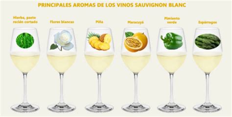 Tabla de aromas típicos del Sauvignon Blanc