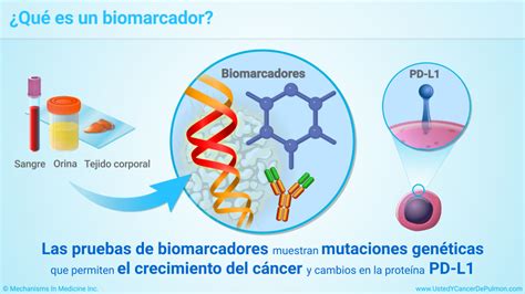 Diagrama de tipos de biomarcadores en cáncer