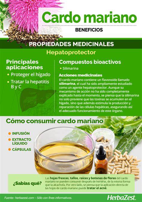 Infografía: Beneficios del Abedul, Cardo Mariano y Nuez de Cola