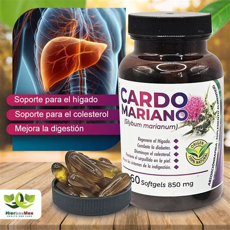 Cápsulas de suplemento de cardo mariano