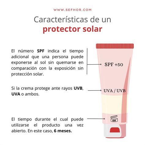 Esquema de la piel y cómo el protector solar la protege