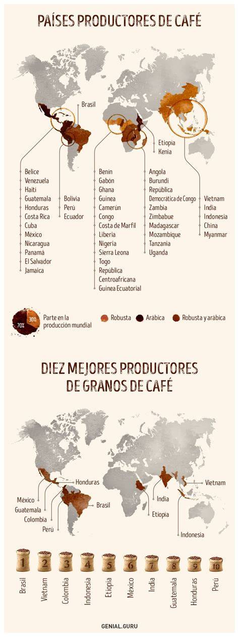 Mapa de países productores de café con sus sellos de comercio justo