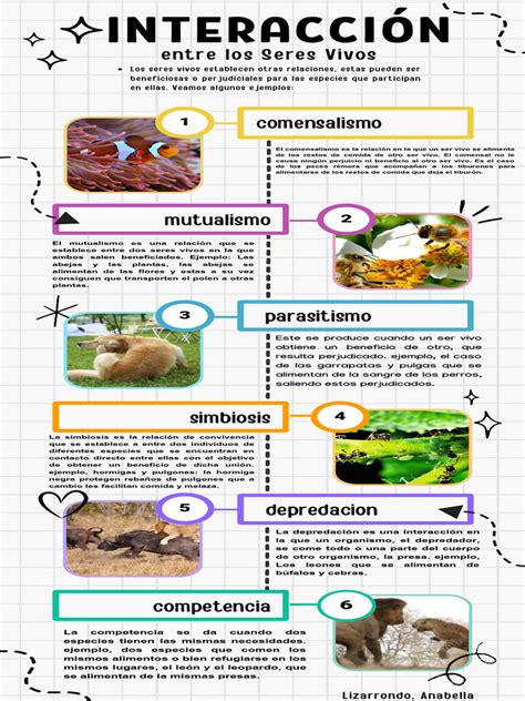 Infografía: Datos de interacciones de fan art sobre croquetas