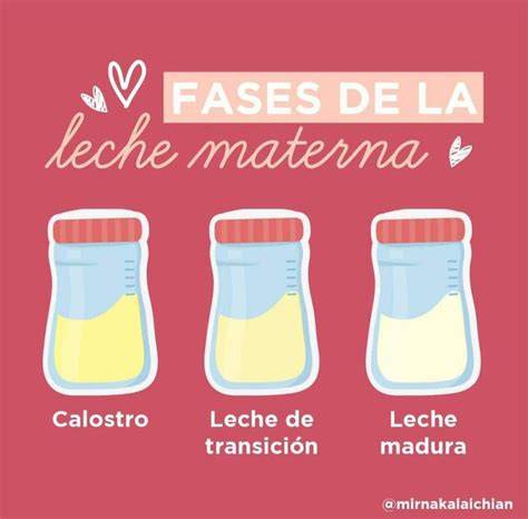 Comparación de la composición de la leche materna en diferentes etapas de la lactancia