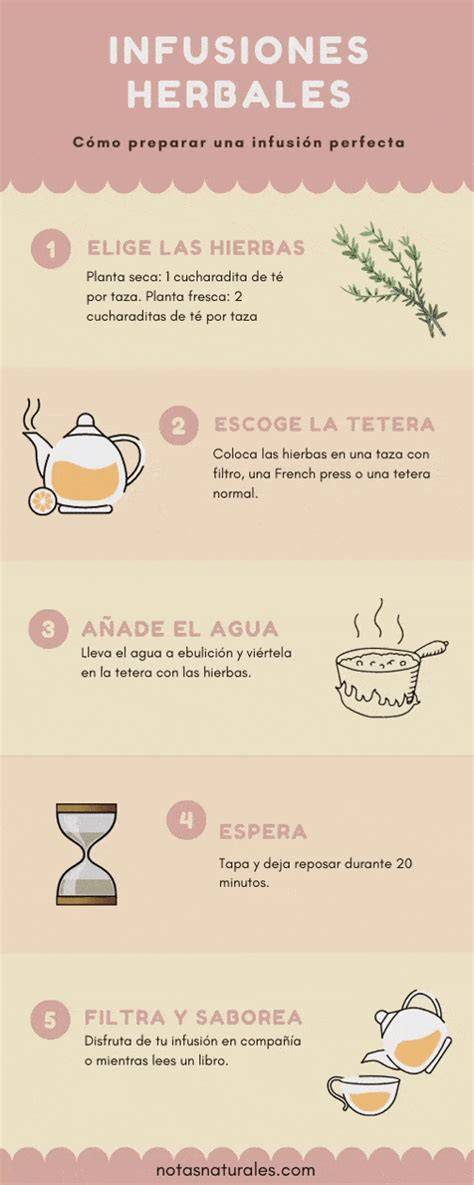 Infografía de los pasos para preparar una infusión
