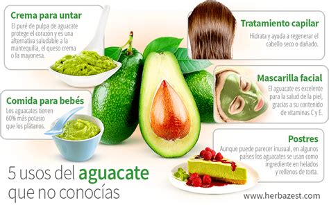 Beneficios y contraindicaciones del aguacate