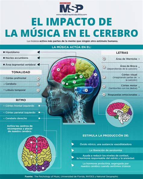 Diagrama de los efectos de la música en el cerebro