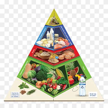 Pirámide alimenticia basada en plantas