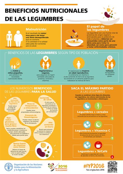 Infografía sobre los beneficios nutricionales de las legumbres