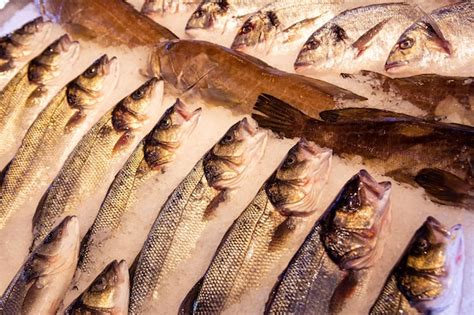 Lubina fresca en el mercado