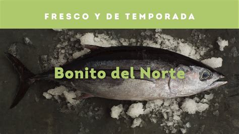 Bonito del norte fresco